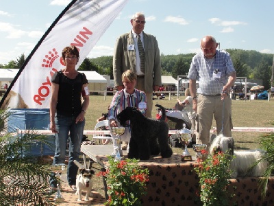 des champs de l'Aisne - Fibie-Sun sur le podium